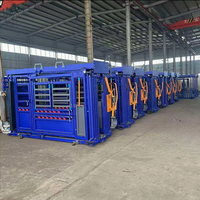 Chute de contention robuste pour bovins avec système de capture automatique de la tête pour élevages et ranchs