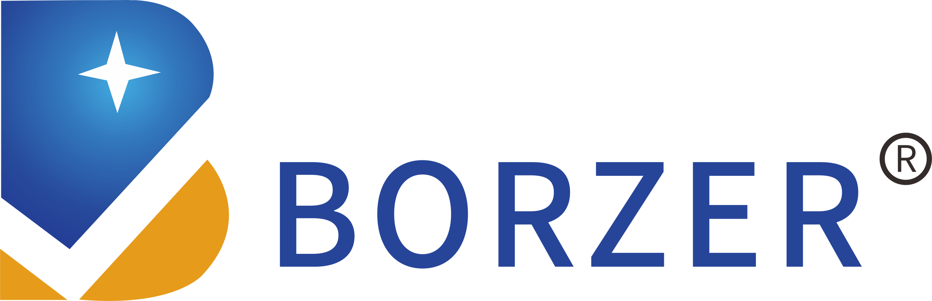 Shenzhen Borzer Technology Co., Ltd.