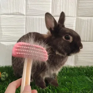 Silika jel tavşan bakım fırçası Pet saç çıkarıcı pire tarağı şampuan banyo fırça Hamster kobay tavşan kedi aksesuarları için