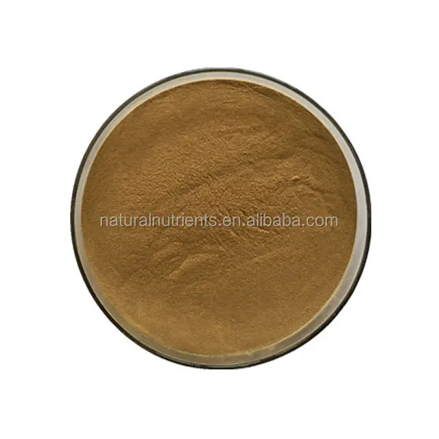 Plant extract rhamnus frangula extract powder 10:1-50:1 rhamnus alpina extract