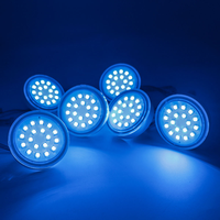 Lumière LED RGB programmable à pixels 24V haute luminosité WS2811 UCS1903 IP67 étanche, source lumineuse ponctuelle pour parc d'attractions