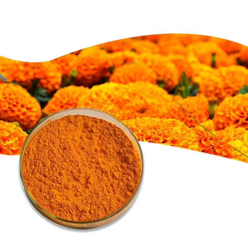 Marigold Extract Powder supplier Marigold Extract Powder supplier