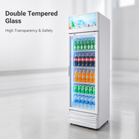 Congélateur vertical commercial 400L, double température, design élégant, équipement de réfrigération directe pour la présentation de boissons
