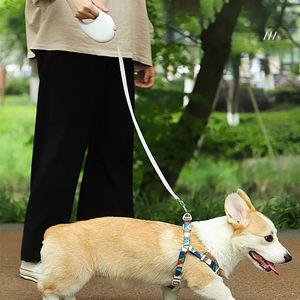 Correa Retráctil Automática para Perros, Resistente al Agua, Sin Esfuerzo para las Manos, para Mascotas Pequeñas, Medianas y Grandes - Product Image 4