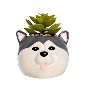 Vente en gros de fournitures de jardin Mignon mini petits pots de fleurs et jardinières Ensemble pour animaux Jardinière succulente Pot de fleur en céramique Pots de plantes - Product Image 5