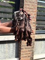 Paquetes de Cabello Ondulado Crudo Camboyano al por Mayor, Cabello Ondulado Rizado Indio Liso Extremo, Paquetes de Cabello 100% Crudo, Paquete de Cabello Ondulado Camboyano para Tejer