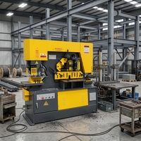 Machine de découpe, poinçonnage et pliage multifonctionnelle CNC hydraulique Q35Y-16/Q35Y-20/Q35Y-25/Q35Y-30 pour tôles d'acier jusqu'à 16 mm