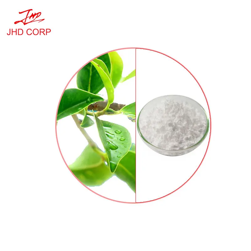 China/US/Germany/Canada/Netherlands supply Bulk green tea extract l-theanine powder