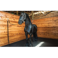 Nouveau design Carrelage à emboîtement en caoutchouc non toxique Tapis de sol stable Tapis de stalle de vache à cheval en caoutchouc à vendre