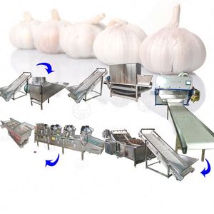 Ligne d'épluchage d'ail à chaîne automatique en acier inoxydable 2 tonnes/H - Product Image 3