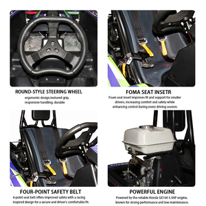 5.5HP <span class=keywords><strong>160cc</strong></span> động cơ xăng thanh thiếu niên đi <span class=keywords><strong>Kart</strong></span> 45 km/h nhanh karting cho công viên giải trí - Product Image 2