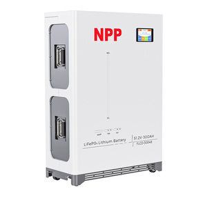 แบตเตอรี่เก็บพลังงานแสงอาทิตย์ NPP 5-15KW LiFePO4 24V/48V 50AH-400AH ระบบ All-In-One Power Wall รับประกัน 5 ปี - Product Image 1