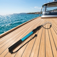Gaff télescopique pour la pêche en mer avec hameçon en acier inoxydable, équipement de pêche, perche en alliage d'aluminium pour poissons d'eau salée