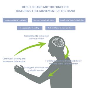 XFT-2005A sarung tangan robot, peralatan medis EMG terapi <span class=keywords><strong>Stroke</strong></span> rehabilitasi baru untuk rehabilitasi - Product Image 6