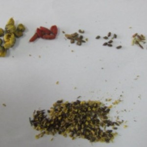 Té Herbal Tejovial Detox con Crisantemo, Semilla de Cassia y Raíz de Bardana - Product Image 2
