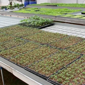 Hydroponic Farm System depth 4CM good quality factory directly Microgreen Trays With Grids