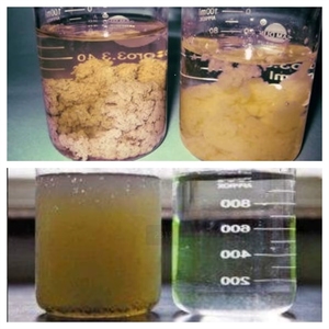 Solution personnalisée de traitement des eaux usées laitières, machine de flottation à air dissous <span class=keywords><strong>DAF</strong></span> pour les eaux usées - Product Image 3
