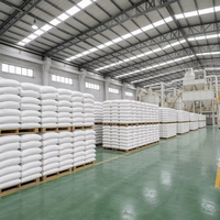 Hydroxyde de calcium industriel en poudre hydraté à 95 % pour le traitement des eaux usées, la construction et l'agriculture (vente en gros)