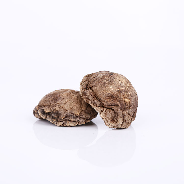 High Quality Edible Fungishiitake Mushroom Dried Mushrooms Dried Shiitake Mushroom