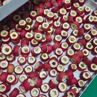 Hawthorn FD a Granel para Producción Industrial de Alimentos y Suministro de Materia Prima