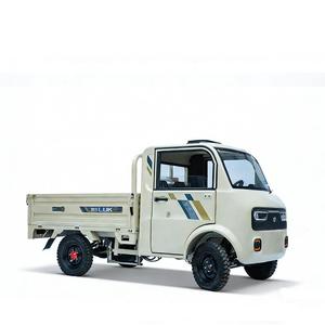 Camionnette électrique compacte à vendre, 2 places, avec volant, fabriquée en Chine - Product Image 2