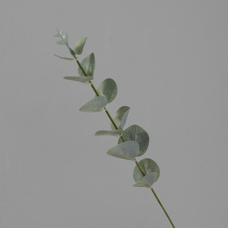 ขาวเล็กเขียว