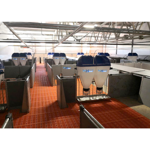 Équipement d'élevage porcin automatique : Corral <span class=keywords><strong>de</strong></span> sevrage pour porcelets après la période <span class=keywords><strong>de</strong></span> succion - Product Image 2