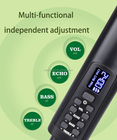 Microphone sans fil à double canal rechargeable Microphone à main sans fil 2.4G avec Echo Treble Bass pour le karaoké Sing