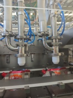 Machine d'emballage horizontale pour sachets Doypack ACEPACK DS-180SXC avec système de codage/remplissage pour shampoing/jus/sauce/miel