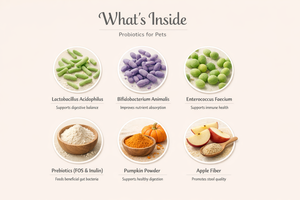 Alimento Liofilizado para Perros, Orgánico, Alto en Proteínas, Probiótico, Sin Granos, Personalizable OEM, con Pollo, Pescado y Salmón, Bajo en Carbohidratos, Marca Privada - Product Image 3