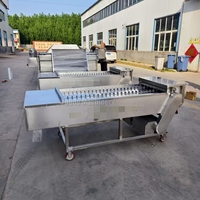 Trancheuse à poisson industrielle automatique à usage intensif Coupe-poisson à ruban congelé Prix d'usine en vente Machines de traitement du poisson