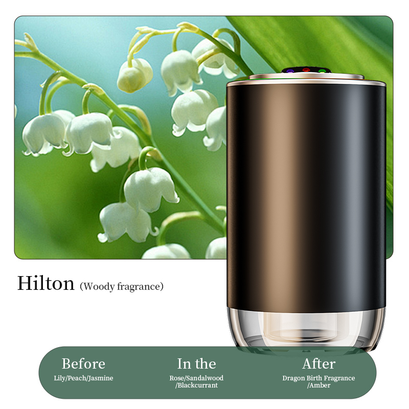Z10 Hilton