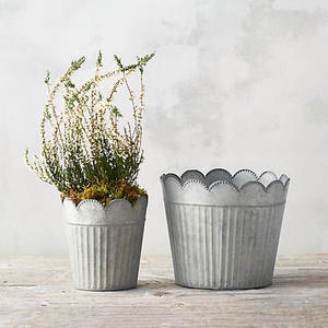 Pots et jardinières auto-arrosants les plus vendus, design innovant de contrôle de l'humidité pour les jardiniers occupés, disponibles à la vente - Product Image 6