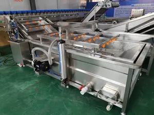 Green Leaf Snail Pickle Chili Banana Grape Air Bubble Conveyor Vegetables Washing Machine