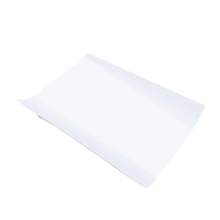 Película PET DTF de gran volumen para transferencia térmica, personalizada, al por mayor, en hojas, lista para prensar, para ropa, bolsos, calzado, prendas de vestir, gorras y guantes, de fábrica