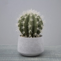 Petite plante artificielle de cactus en pot A-3053 pour décoration intérieure