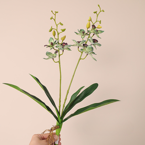 Orchidea Artificiale di Alta Qualità Fatta a Mano, <span class=keywords><strong>Aspidistra</strong></span> in Seta al Tatto Realistico, Decorazione Moderna per Natale, Matrimoni, Casa e Hotel - Product Image 6
