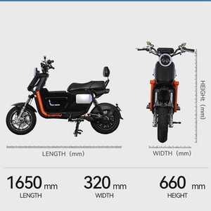 Motocicleta Eléctrica con Amortiguación Delantera y Trasera, Precio de Fábrica, Bicicleta Eléctrica, Motocicleta Eléctrica para Adultos - Product Image 6