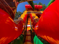 Aire de jeux commerciale à double voie pour fêtes, toboggan gonflable géant pour adultes, enfants, arrière-cour, sec et humide avec piscine