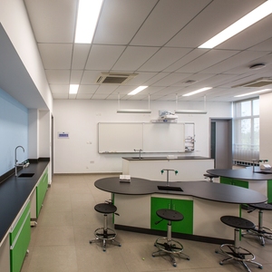 Muebles de Laboratorio Escolares de Acero de Alta Calidad Personalizados para Laboratorio Universitario, Equipo de Laboratorio de Biología - Product Image 3