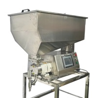 Machine de remplissage à trémie 150L à pompe rotative à tête unique pour liquides à haute viscosité (boissons, sauce tomate, confiture, crème, miel)