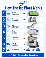 Machine à glace en tubes Pecold 30 tonnes, directement de l'usine, pour centre d'approvisionnement en glace du port de pêche d'Indonésie, service local DDP