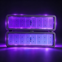 Projecteur LED UV 400W 365/395nm IP66 en alliage d'aluminium avec garantie de 5 ans pour scène, terrain de baseball et éclairage d'ambiance de fête