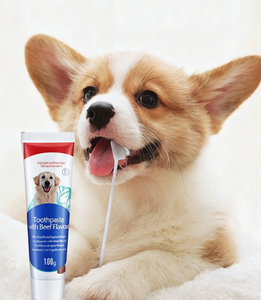 Pasta de Dientes y Cepillo de Dientes Comestibles para Mascotas, para el Cuidado Bucal y la Limpieza de Dientes de Perros, para el Mal Aliento - Product Image 1