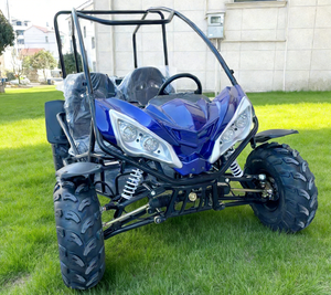 <span class=keywords><strong>Quad</strong></span> <span class=keywords><strong>électrique</strong></span> 2000 W équipé d'un blocage différentiel LNA, buggy OEM ODM pour adultes - Product Image 6