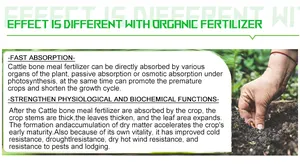 Toqi Fertilizante por atacado fertilizante agrícola solúvel em água fertilizante orgânico ósseo em pó