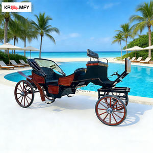 Chariot de Mariage Cendrillon avec Lumières LED, Chariot de Noël de Luxe, Chariots Tirés par des Chevaux - Product Image 6