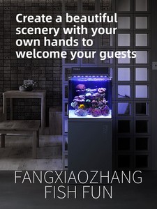Set Completo Acquario Marino Serie HB con Filtro Posteriore, Vetro Ultra Trasparente, Vasca per Pesci e Coralli, Acquario da Tavolo per Acqua Salata - Product Image 4