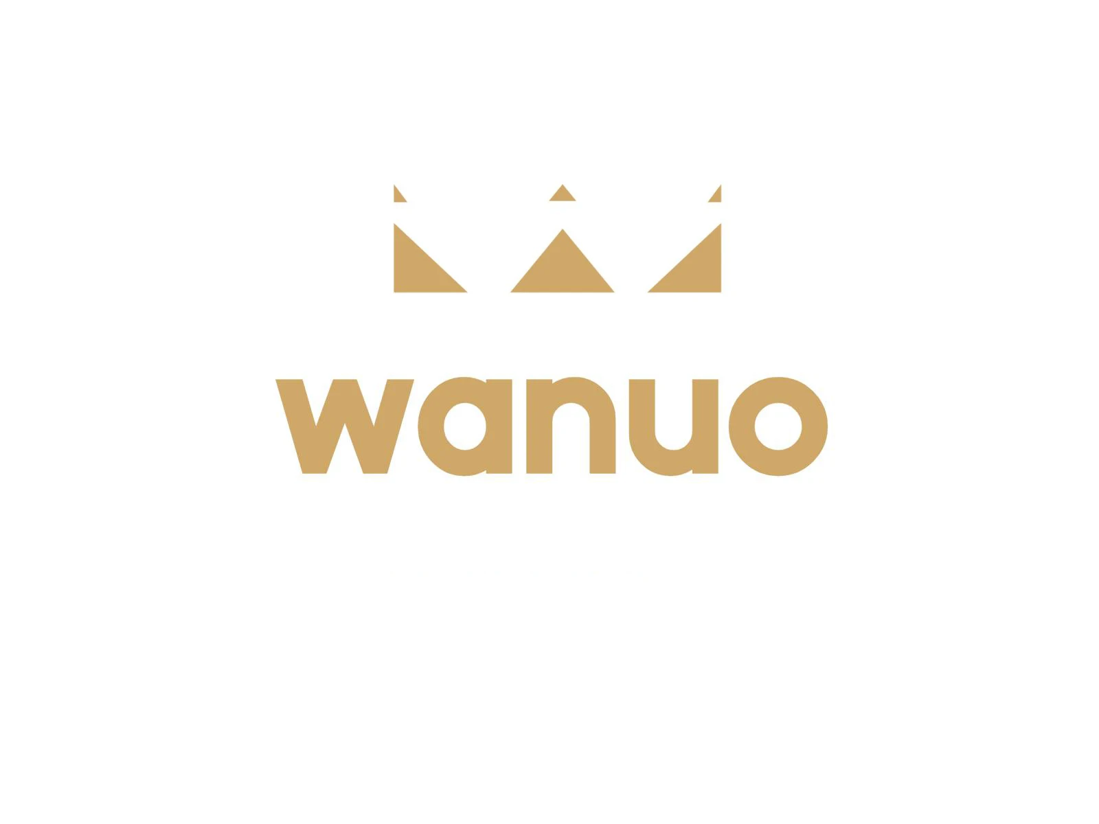 Taizhou Wanuo Chuangfeng Daily Necessities Co., Ltd. logo