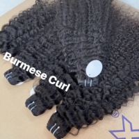 Les Meilleurs Fournisseurs de Cheveux : Cheveux Indiens Vierges Bouclés Birmans, 100% Cheveux Humains Bruts Non Traités en Lots